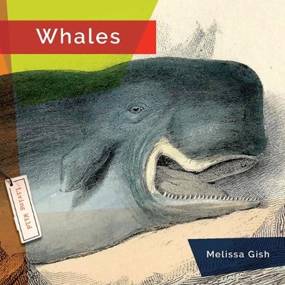 Whales, Melissa Gish - Paperback - 9781682771693