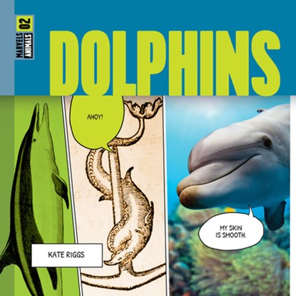 Dolphins, Kate Riggs - Paperback - 9781682773895