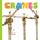 Cranes, Meg Greve - Paperback - 9781682775547
