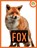 Fox, Julie And David Lavender - Paperback - 9781682775653
