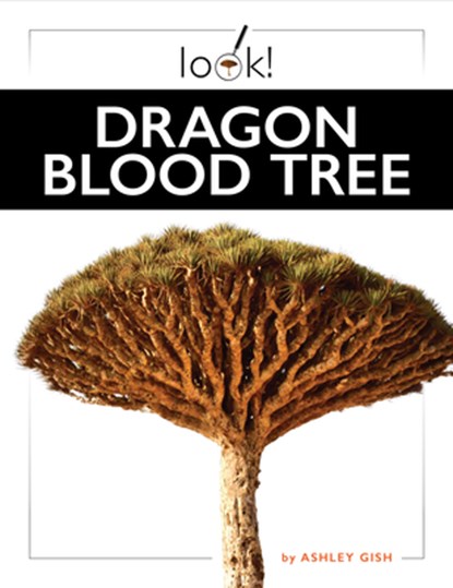 Dragon Blood Tree, Ashley Gish - Paperback - 9781682777527