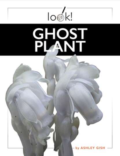 Ghost Plant, Ashley Gish - Paperback - 9781682777541