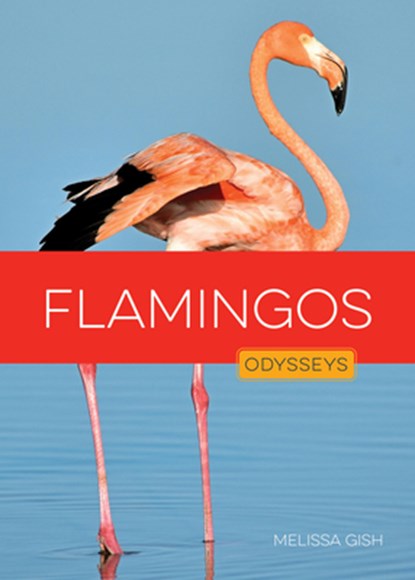 Flamingos, Melissa Gish - Paperback - 9781682778227