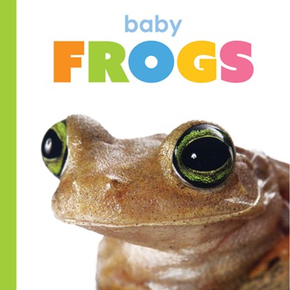 Baby Frogs, Kim Thompson - Paperback - 9781682778326