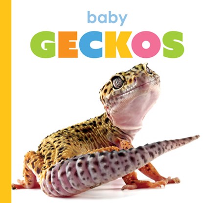 Baby Geckos, Kim Thompson - Paperback - 9781682778333