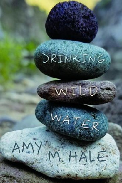 Drinking Wild Water, Amy M. Hale - Paperback - 9781682832769