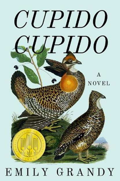 Cupido Cupido, Emily Grandy - Paperback - 9781682832806