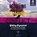 Resolving Everyday Conflict Workpl Guide, Peacemaker Ministries - Paperback - 9781683070986