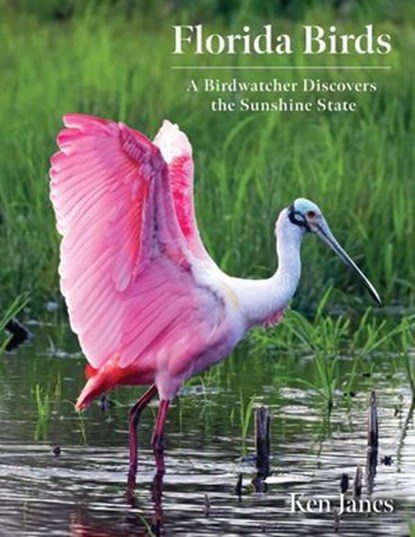 Florida Birds, Ken Janes - Ebook - 9781683343455