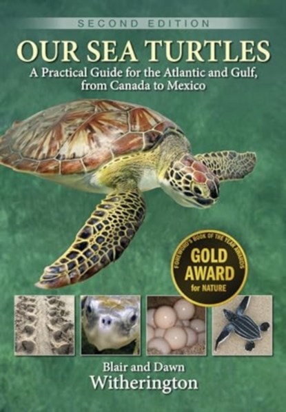 Our Sea Turtles, Blair Witherington ; Dawn Witherington - Paperback - 9781683343561
