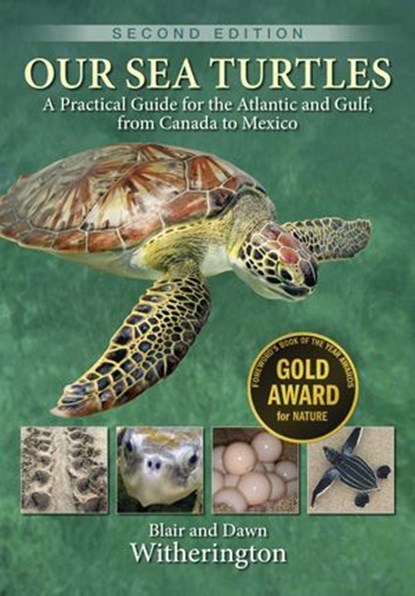 Our Sea Turtles, Blair Witherington ; Dawn Witherington - Ebook - 9781683343578