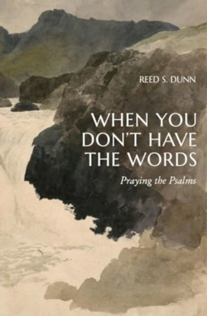 When You Don't Have the Words, Reed S Dunn - Paperback - 9781683598060