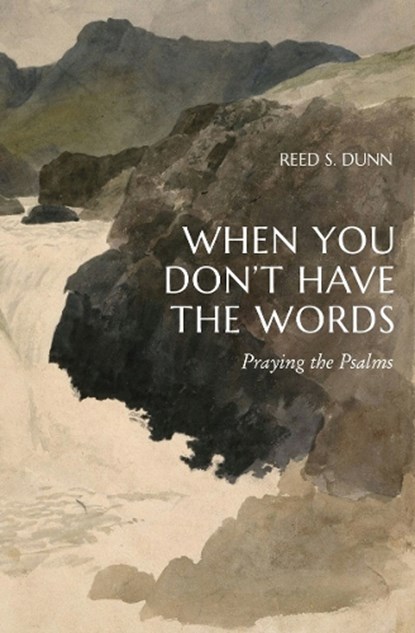 When You Don't Have the Words, Reed S. Dunn - Paperback - 9781683598060