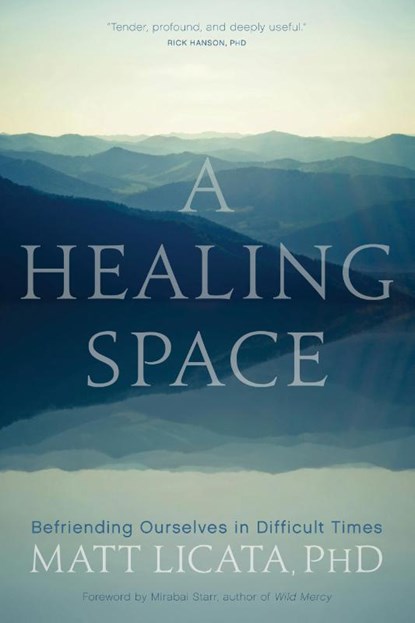 A Healing Space, LICATA,  Matt - Paperback - 9781683643739