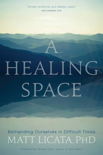 A Healing Space, Matt Licata - Ebook - 9781683644255
