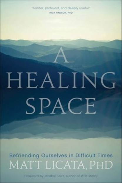 A Healing Space, Matt Licata - Ebook - 9781683644255