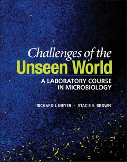 Challenges of the Unseen World, Richard J. Meyer ; Stacie A. Brown - Ebook - 9781683673002
