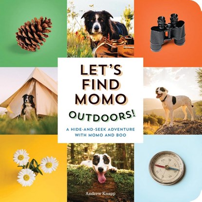 Let's Find Momo Outdoors!, Andrew Knapp - Gebonden - 9781683692621