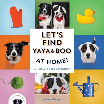 Let's Find Yaya and Boo at Home!, Andrew Knapp - Gebonden - 9781683693666