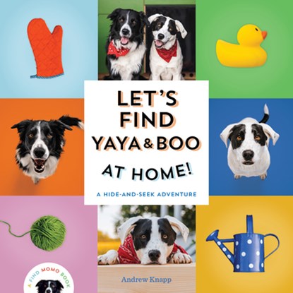 Let's Find Yaya and Boo at Home!, Andrew Knapp - Overig - 9781683693666