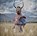 Mask, Chris Rainier ; Pico Iyer - Gebonden - 9781683836452