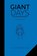 Giant Days: Not On The Test Edition Vol. 2, John Allison - Gebonden - 9781684150588