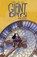 Giant Days Vol. 13, John Allison - Paperback - 9781684155422