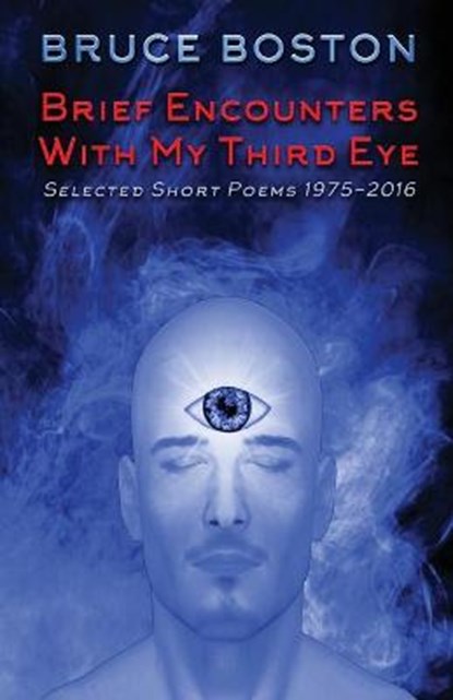 Brief Encounters with my Third Eye: Selected Poems, Bruce Boston - Ebook - 9781684187584