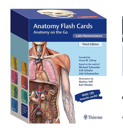 Anatomy Flash Cards, Latin Nomenclature, Anne M Gilroy - Losbladig - 9781684202225