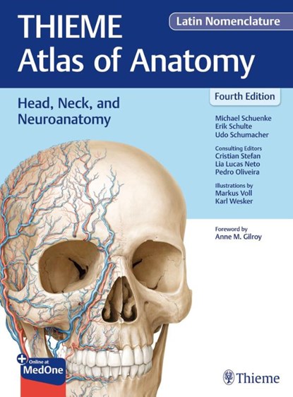 Head, Neck, and Neuroanatomy (THIEME Atlas of Anatomy), Latin Nomenclature, Michael Schuenke ; Erik Schulte ; Udo Schumacher ; Cristian Stefan - Gebonden - 9781684206971