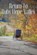 Return to Ruby Hope Valley, WILLIAMS GORDON,  Diane - Paperback - 9781684335169