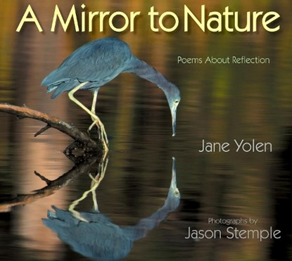 Mirror to Nature, A, Jane Yolen - Paperback - 9781684372782