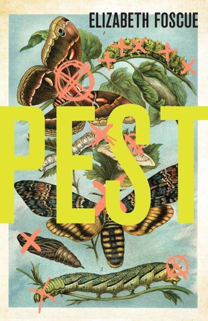 Pest, Elizabeth Foscue - Paperback - 9781684428120