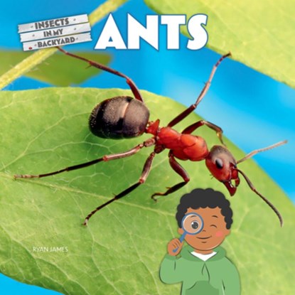 Ants, Ryan James - Gebonden - 9781684502424