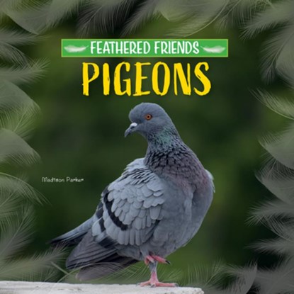 Pigeons, Madison Parker - Gebonden - 9781684502844