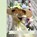 Ducks on Parade!, Nancy Schon - Gebonden - 9781684580415