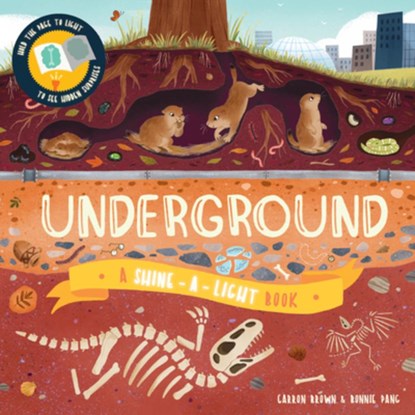 Underground, Carron Brown - Gebonden - 9781684648078