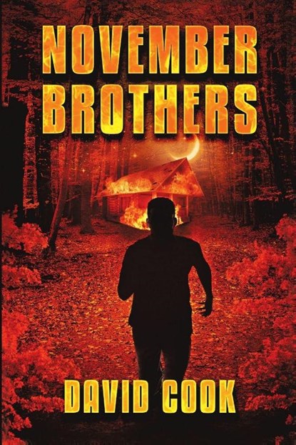 November Brothers, David Cook - Paperback - 9781684715862