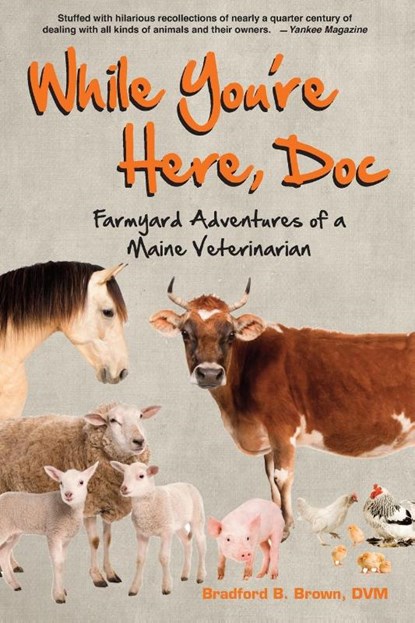 While You're Here, Doc, Bradford B Brown - Paperback - 9781684751747