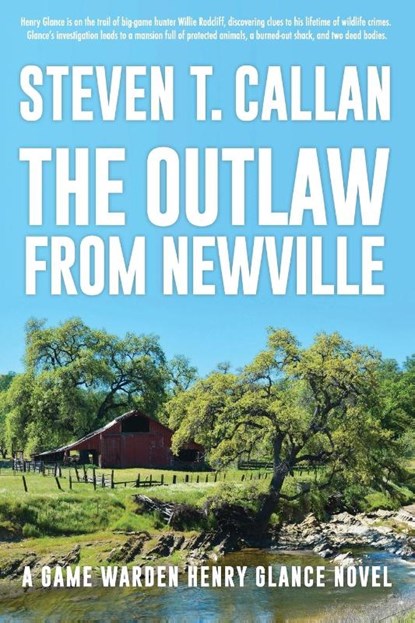 The Outlaw from Newville, Steven T. Callan - Paperback - 9781684923120