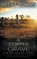 A Copper Grave: A Private Investigator Mystery, Brent Towns - Paperback - 9781685495688