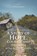 No One Would Ever Believe Me, Madeline Martin - Paperback - 9781685705398