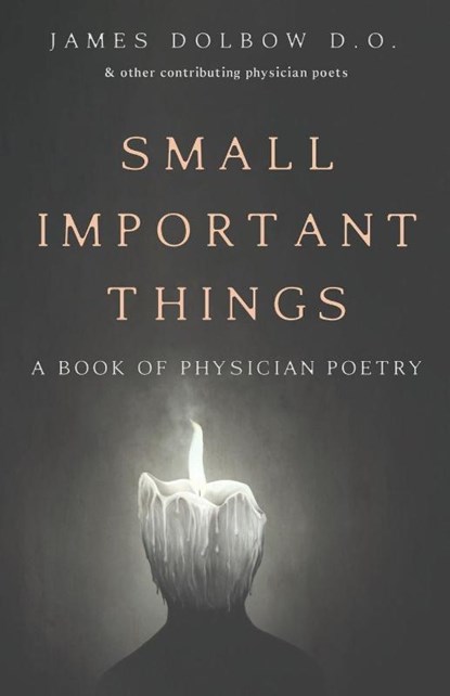 Small Important Things, James Dolbow ; Michael Wynn ; Douglas Hester - Paperback - 9781685770150