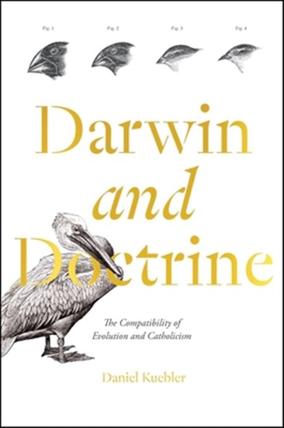 Darwin and Doctrine: The Compatibility of Evolution and Catholicism, Daniel Kuebler - Gebonden - 9781685781583