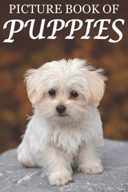 Picture Book of Puppies, Mighty Oak Books - Paperback - 9781689370219