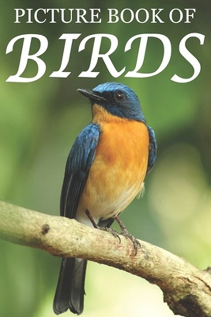 Picture Book of Birds: For Seniors with Dementia [Colorful Picture Books], Mighty Oak Books - Paperback - 9781689371360