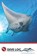 Dive Log, POLLOCK,  Meagan - Paperback - 9781703154245