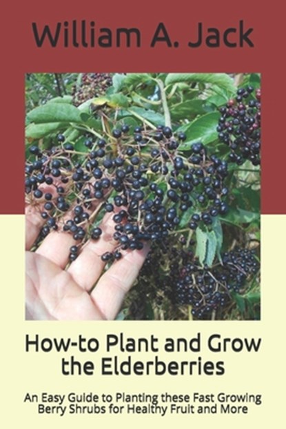 How-to Plant and Grow the Elderberries: An Easy Guide to Planting these Fast Growing Berry Shrubs for Healthy Fruit and More, William a. Jack - Paperback - 9781704538327