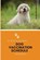 Dog Vaccination Schedule, FREEMAN,  Monica - Paperback - 9781716277825
