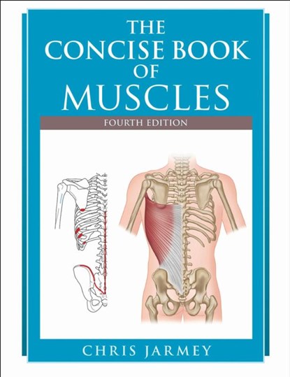 The Concise Book of Muscles, Chris Jarmey - Paperback - 9781718245839